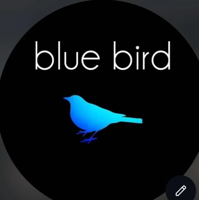 Blue Bird